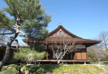 Shofuso House mở cửa trở lại vào thứ sáu sau một thời gian đóng cửa vì bị phá hoại và báo cáo một vụ trộm cắp mới