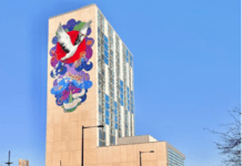 “Nâng cao vị thế khu phố Tàu: Tác động tất yếu của các tổ chức hỗ trợ”