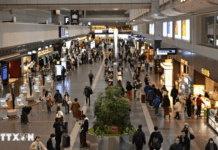 Nhật Bản siết chặt nhập cảnh với du khách nợ thuế, phí y tế