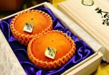 Ngỡ ngàng cặp hồng được bán với giá kỷ lục 187 triệu đồng