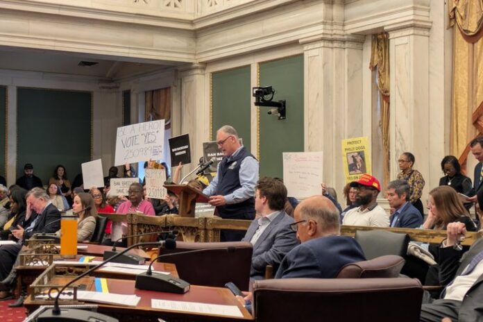 dog_breeding_ban.2e16d0ba.fill-735x490