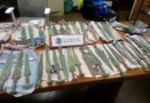 Kiếm và mũi tên có niên đại từ thời kỳ đồ đồng bị thu giữ từ một lô hàng ở Philadelphia.