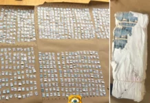 Một thiếu niên và em gái tìm thấy hơn 14.000 gói fentanyl trong khu rừng ở Delaware.