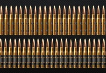 Bộ Tư pháp cho phép sử dụng đội xử bắn để hành quyết.