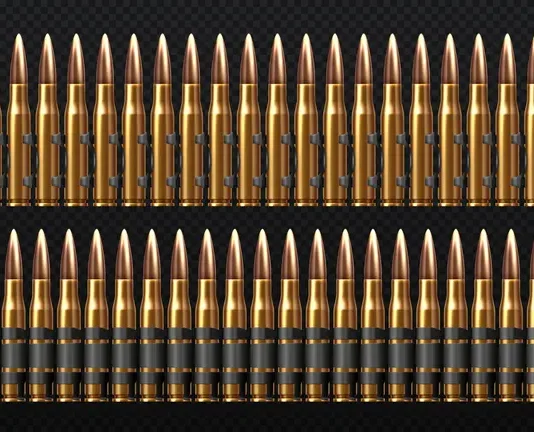 Bộ Tư pháp cho phép sử dụng đội xử bắn để hành quyết.